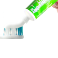 rasyan herbal clove toothpaste